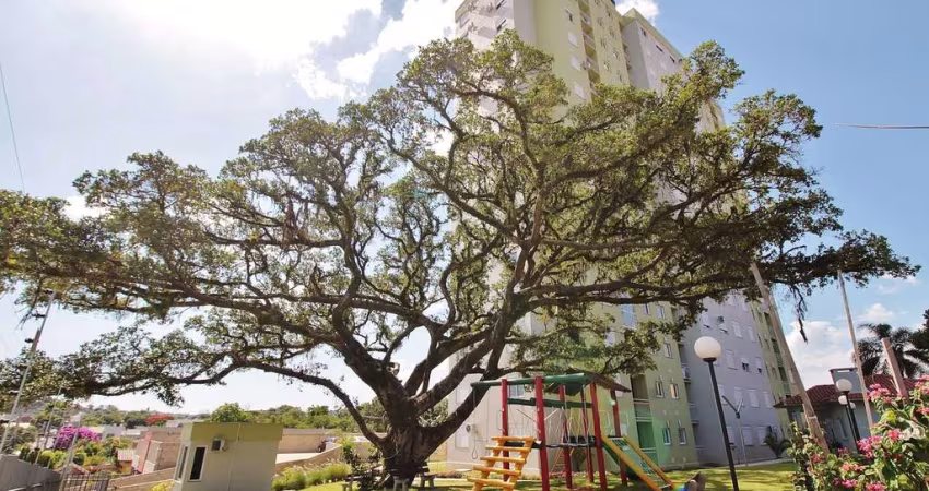 Apartamento de 2 quartos no bairro Vila Rosa / Rincão