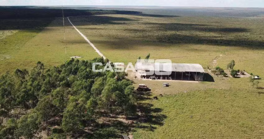 Fazenda à venda no Jardim Acacia, Tangará da Serra 