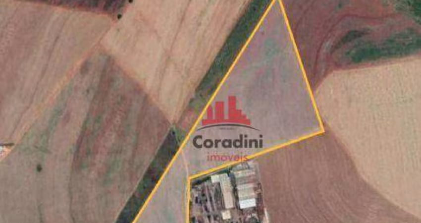 Área à venda, 109000 m² por R$ 18.530.000,00 - Cruzeiro do Sul - Santa Bárbara D'Oeste/SP