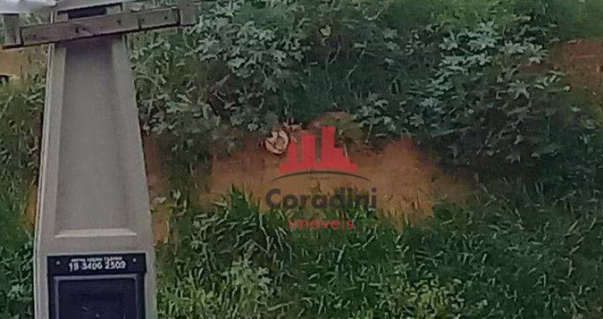 Terreno à venda, 230 m² por R$ 230.000 - Jardim Cândido Bertini - Santa Bárbara D'Oeste/SP