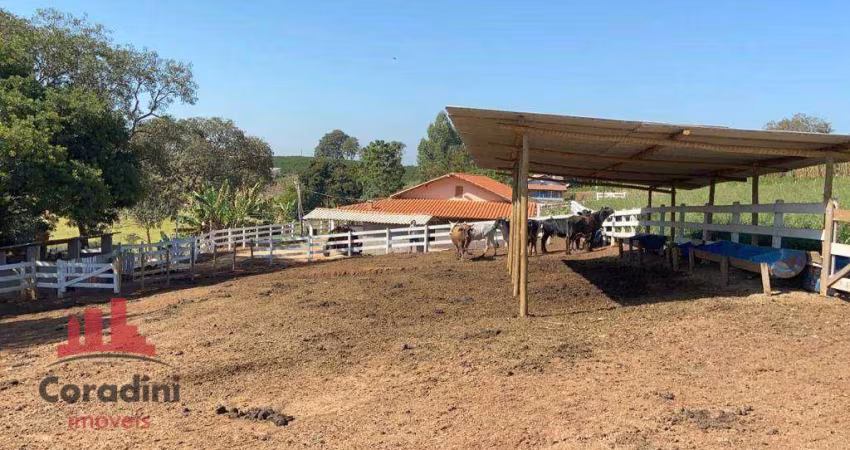 Sitio em Minas Gerais por R$ 550.000,00
