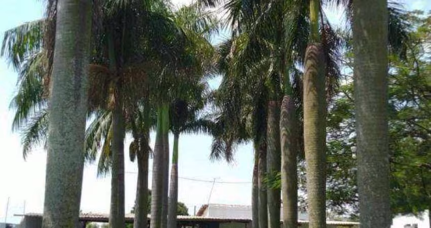 Chácara com 2 dormitórios à venda, 2821 m² por R$ 2.000.000 - Recanto Ceci - Nova Odessa/SP