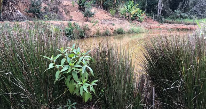 Terreno com pequeno lago