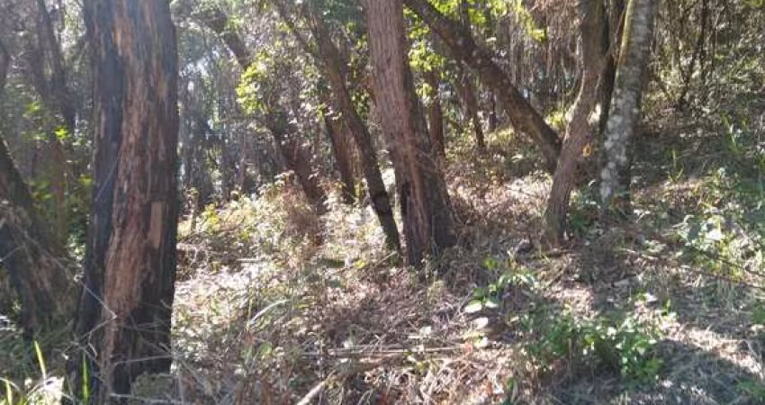 Terreno em Loteamento Eldorado em Itu com 2.800m² com ótima topografia e Oportunidade de Preço!