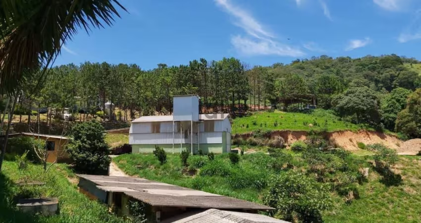Sítio com granja de codornas formada