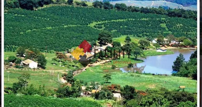 Fazenda à venda na Rural, 5, Área Rural de Itapira, Itapira