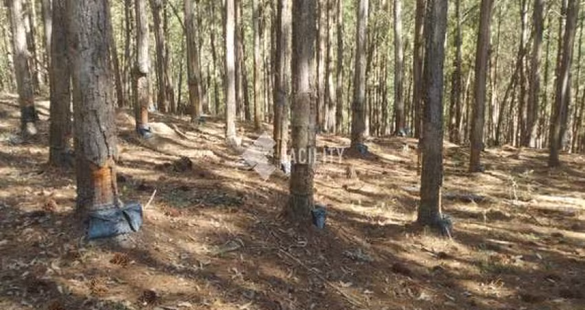 Fazenda à venda na Rua 18, Quadra 16, 100, Ribeirão da Várzea, Itapirapuã Paulista