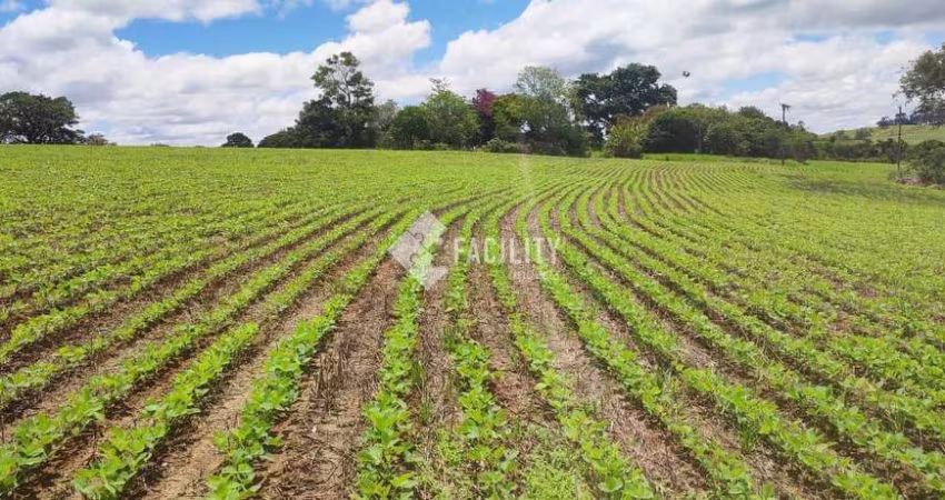 Chácara / sítio com 1 quarto à venda na Campos Salles, 01, Centro, Itararé