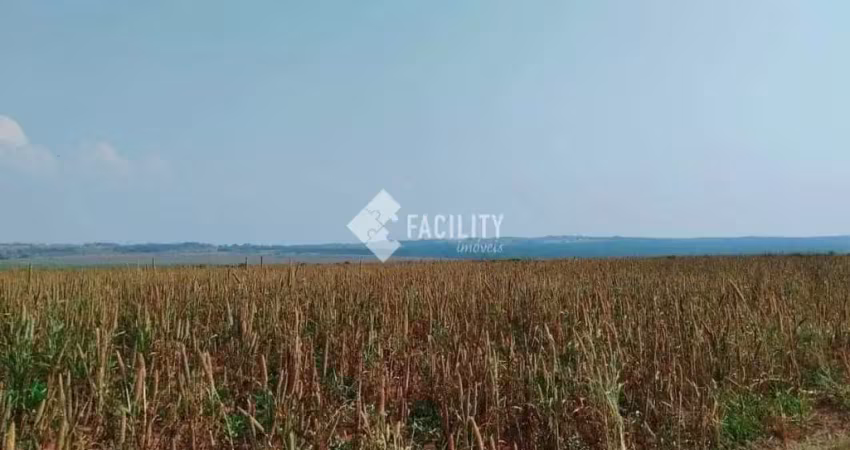 Fazenda à venda no Centro, Teodoro Sampaio 