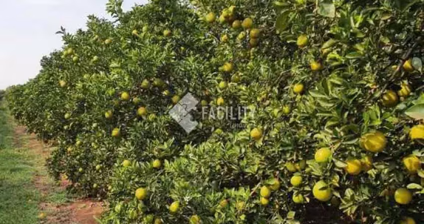 Fazenda à venda na Rural, 100, Área Rural de Avaré, Avaré