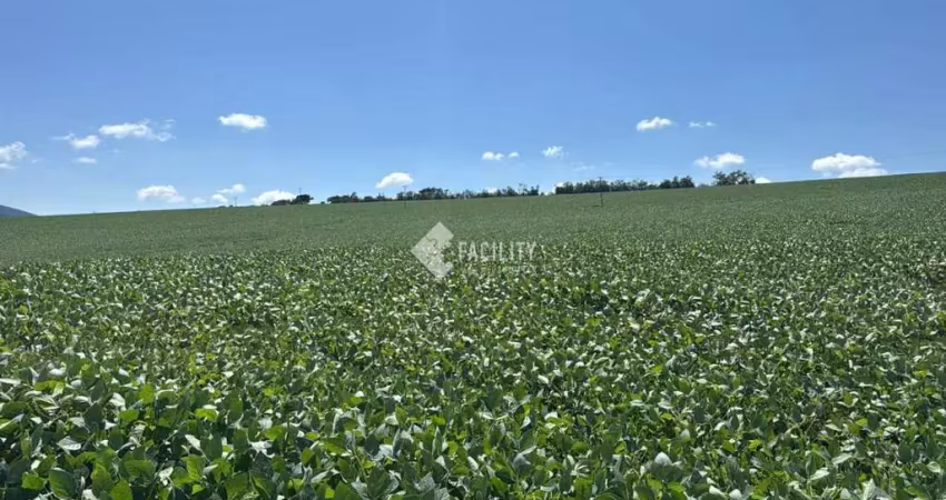 Fazenda à venda na Rural, 100, Zona Rural, Serra Negra