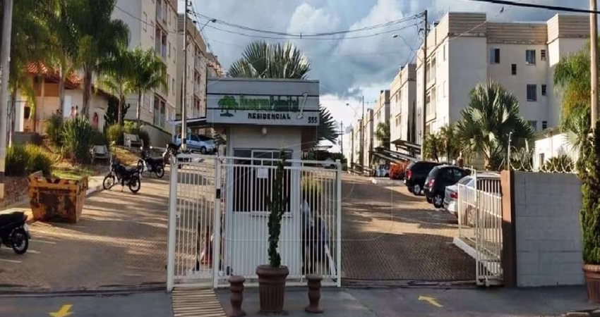 Apartamento Reserva Palmital 1 -  Marília