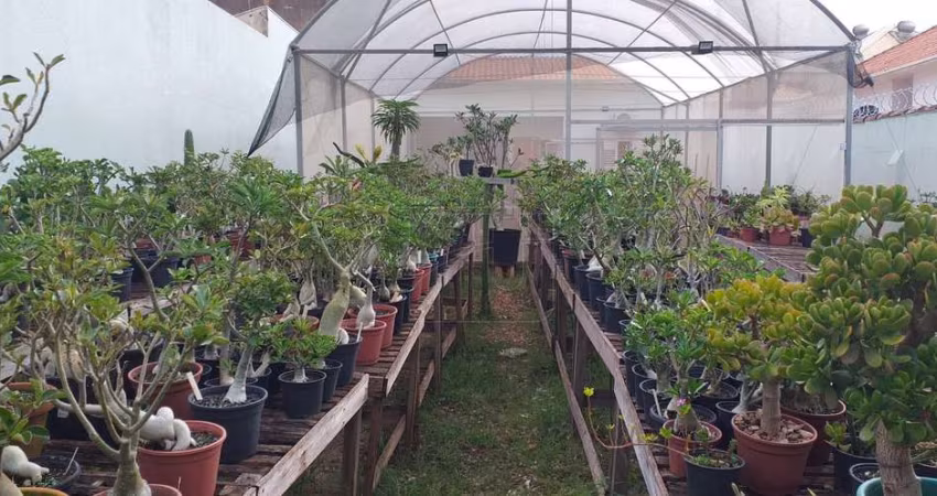 Terreno Comercial em Palmital - Marília, SP