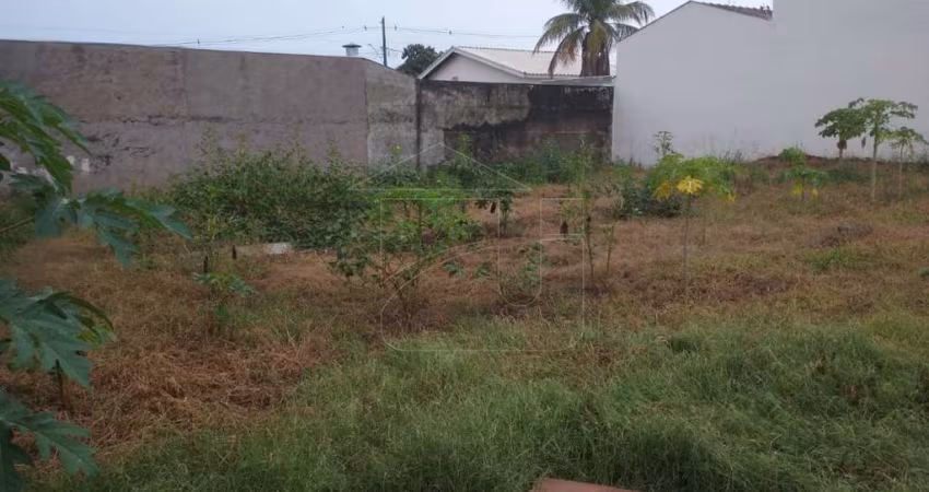 Terreno Residencial em Jardim Santa Antonieta - Marília, SP