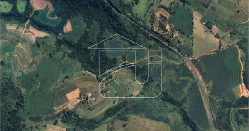 Fazenda em Nova Marilia  -  Marília