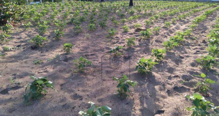 Terreno à venda, 2716 m² - Bairro Novo - São José de Mipibu/RN -