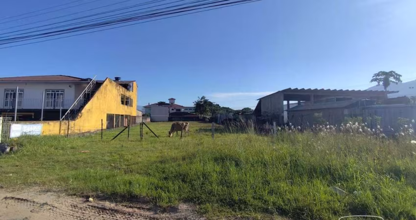 Terreno para alugar, 1201 m² por R$ 5.211,65/mês - Sertão do Maruim - São José/SC