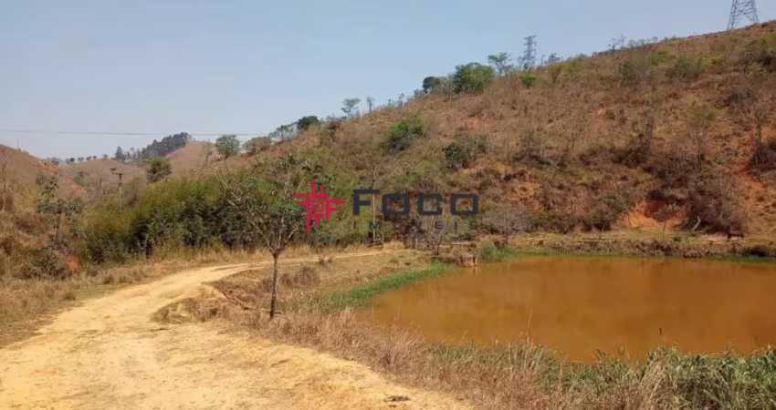 Fazenda de Eucalipto  e de Gado / 337 hectares / 02 casas (principal e empregados )  Escriturada / Areias - SP