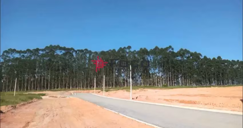 Terreno / padrão - residencial - no bairro vila amélia - são josé dos campos