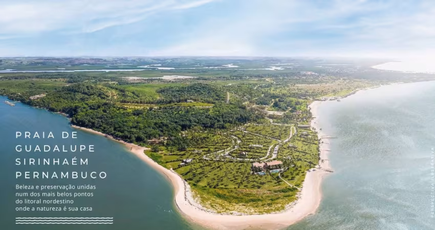 Adquira seu lote na Praia de Guadalupe