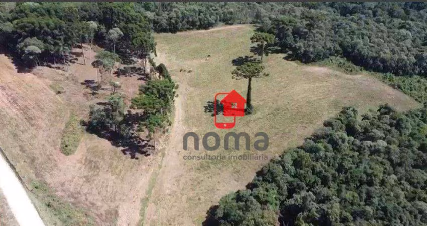 Área à venda, 130000 m² por R$ 23.900.000,00 - Jardim Bela Vista - Campo Largo/PR
