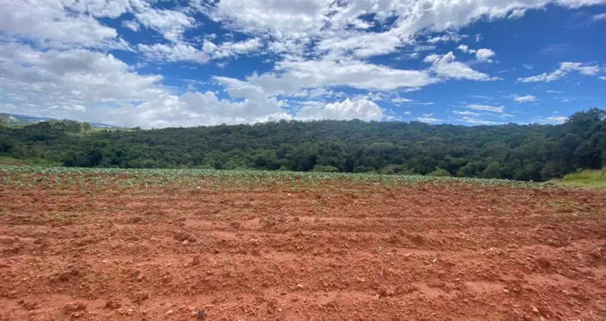 Fazenda para Venda em Senador Amaral, RURAL, 2 dormitórios, 1 banheiro, 4 vagas