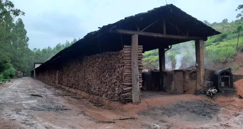 Área para Venda em Pedra Bela, Pedra Bela, 2 dormitórios, 1 banheiro