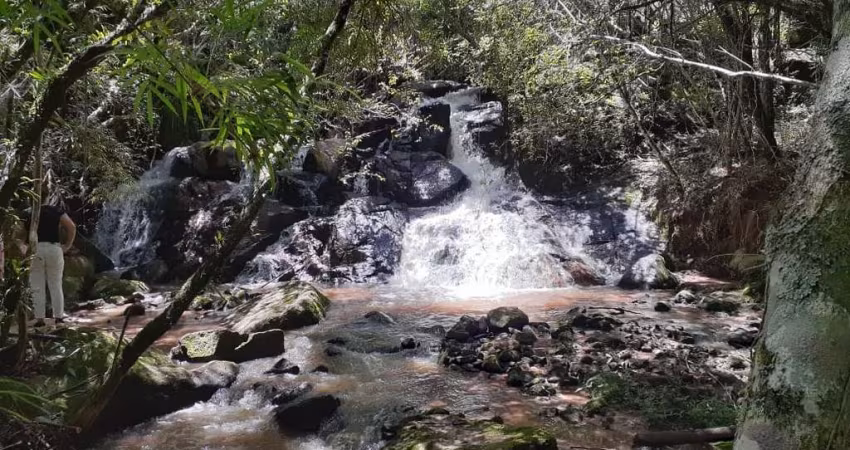 Fazenda para Venda em Pinhalzinho, RURAL, 2 dormitórios, 1 banheiro, 7 vagas