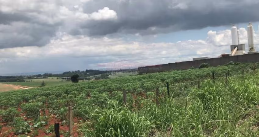 Terreno INDUSTRIAL á 1km Castelo Branco km99 sentido Sorocaba (Próx. Empres