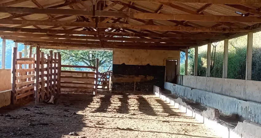 Fazenda à venda na Rua Assis Figueiredo, Centro, Poços de Caldas