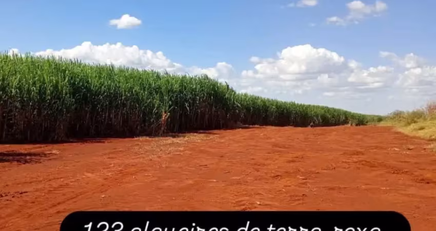 Fazenda de cana,  terra roxa região de Ribeirão Preto SP