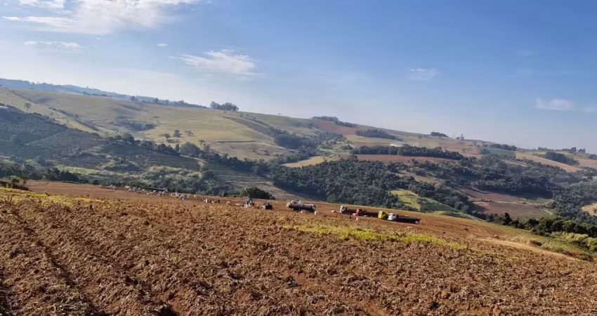 Fazenda com 1 sala à venda na Avenida Leonor Mendes de Barros, 1, Zona Rural, Divinolândia