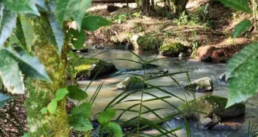 Chácara / sítio à venda na Rodovia BR 116, Frankenthal, Morro Reuter