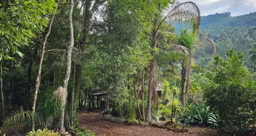 Chácara / sítio à venda na Rodovia BR 116, Linha Gorgen, Morro Reuter