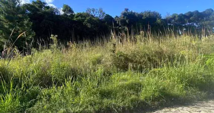 Terreno à venda no bairro nossa senhora das graças - caxias do sul/rs