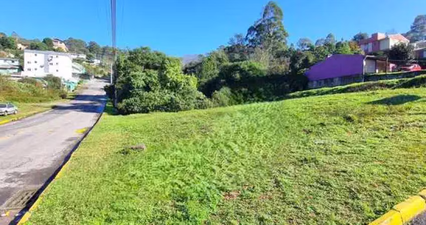 Terreno à venda no bairro nossa senhora das graças - caxias do sul/rs