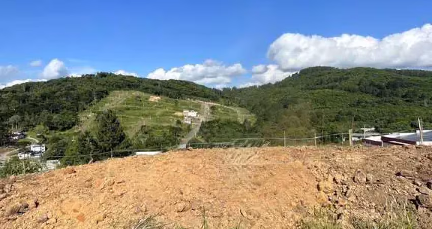 Terreno à venda no bairro parada cristal - caxias do sul/rs
