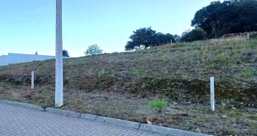 Terreno à venda no Desvio Rizzo, Caxias do Sul 