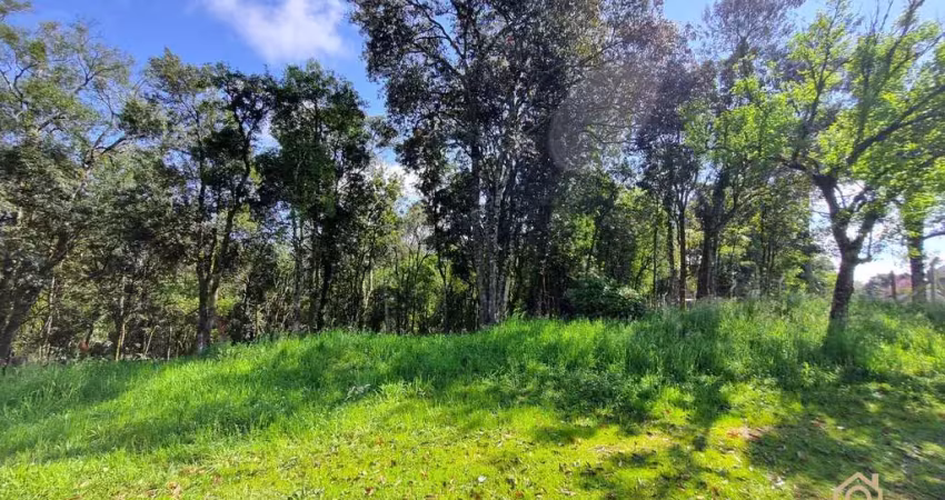 Terreno à venda no Pedancino, Caxias do Sul 