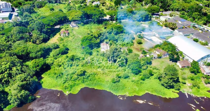 Fazenda à Venda, Vila Cachoeira, Rodovia Ilhéus/Itabuna, Ilhéus, BA