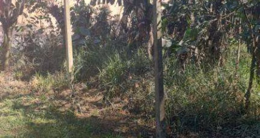 Terreno para Venda em Santa Isabel, Aralú