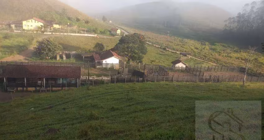 Fazenda para venda em natividade da serra, bairro alto