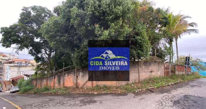Terreno à venda, 900 m² por R$ 795.000,00 - Nova Era - Juiz de Fora/MG