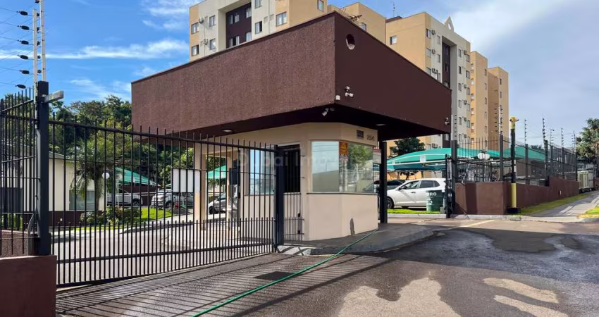 Apartamento 3 quartos, para locação, Loteamento Sumaré, MARINGA - PR