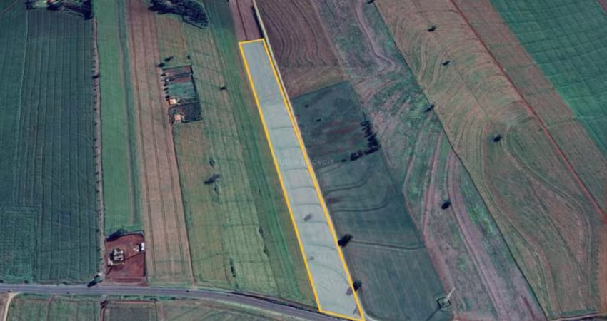Chácara à venda, BR 444 - PROXIMO A ARAPONGAS - CACHARA NA BR 444