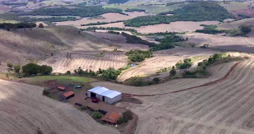 Fazenda à venda, Rural, APUCARANA - PR