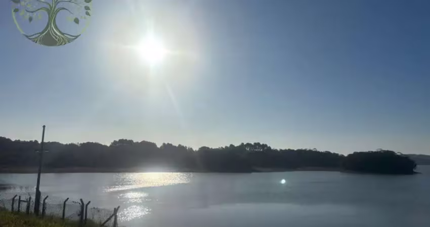 Chácara / sítio com 4 quartos à venda na Estrada do Oeste, 285, Parque das Garças, São Bernardo do Campo