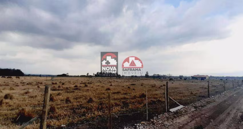 Terreno Rural em Pindamonhangaba