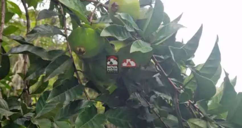 Venda chácara de 3000m² com lago e pomar - o seu refúgio de paz