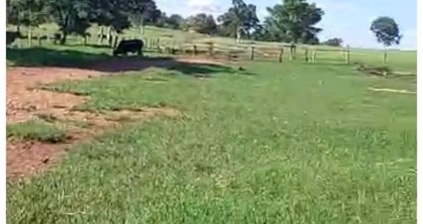 Linda Fazenda em mato Grosso,